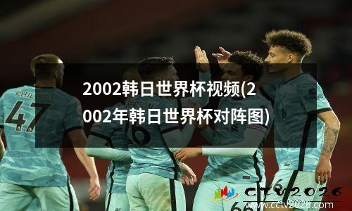 2002韩日世界杯视频(2002年韩日世界杯对阵图)