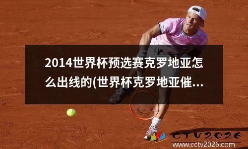 2014世界杯预选赛克罗地亚怎么出线的(世界杯克罗地亚催泪)
