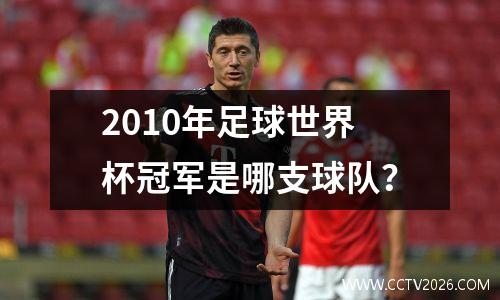 2010年足球世界杯冠军是哪支球队？