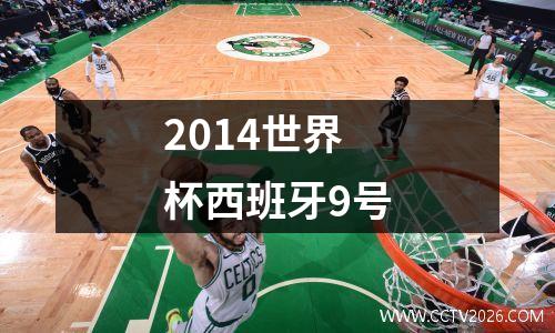 2014世界杯西班牙9号