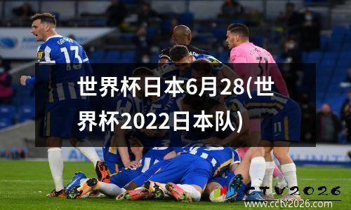 世界杯日本6月28(世界杯2022日本队)