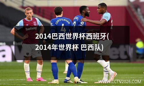 2014巴西世界杯西班牙(2014年世界杯 巴西队)