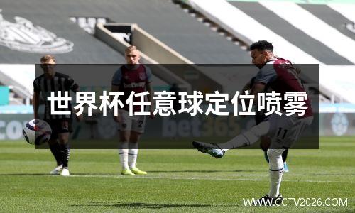 世界杯任意球定位喷雾