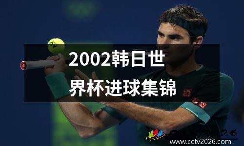 2002韩日世界杯进球集锦