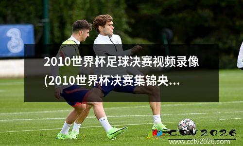 2010世界杯足球决赛视频录像(2010世界杯决赛集锦央视)