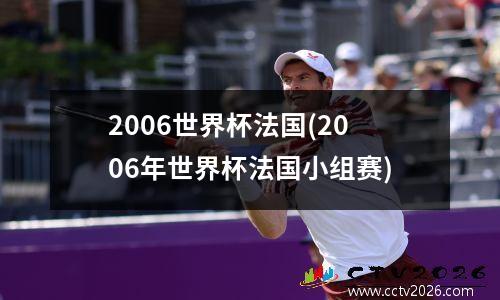 2006世界杯法国(2006年世界杯法国小组赛)