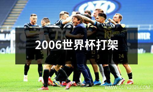 2006世界杯打架