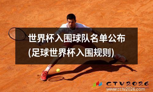 世界杯入围球队名单公布(足球世界杯入围规则)