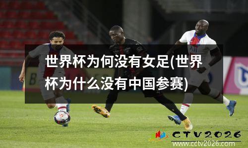 世界杯为何没有女足(世界杯为什么没有中国参赛)