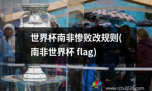 世界杯南非惨败改规则(南非世界杯 flag)