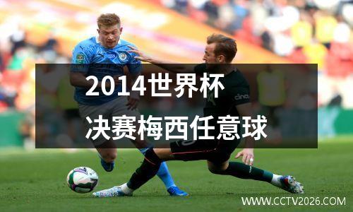 2014世界杯决赛梅西任意球