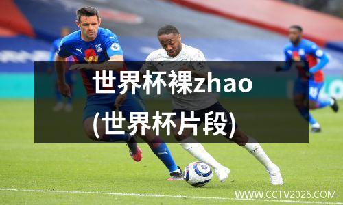 世界杯裸zhao(世界杯片段)