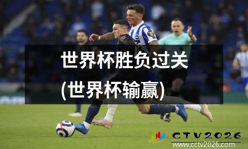 世界杯胜负过关(世界杯输赢)