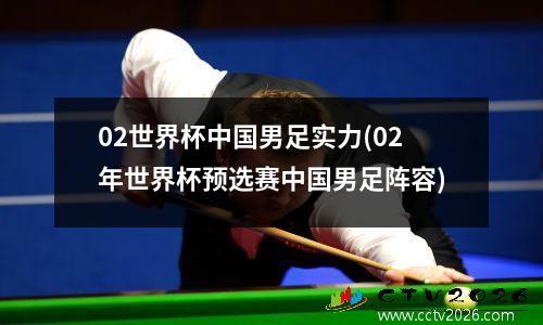 02世界杯中国男足实力(02年世界杯预选赛中国男足阵容)