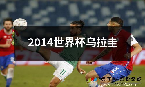 2014世界杯乌拉圭