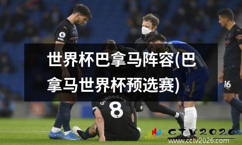 世界杯巴拿马阵容(巴拿马世界杯预选赛)