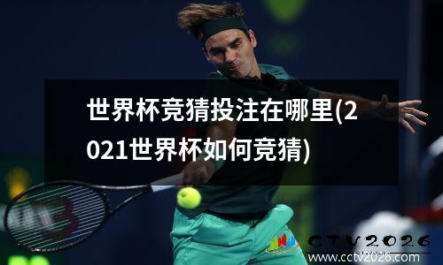 世界杯竞猜投注在哪里(2021世界杯如何竞猜)