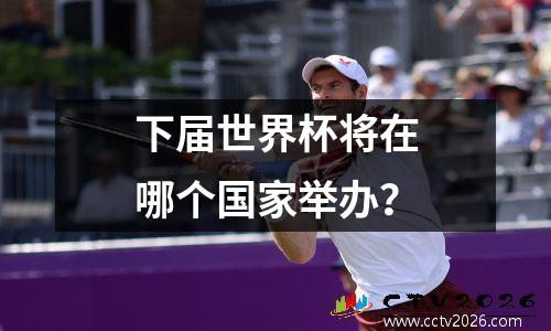下届世界杯将在哪个国家举办？