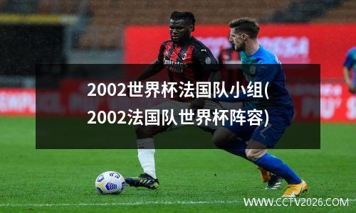 2002世界杯法国队小组(2002法国队世界杯阵容)