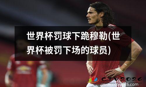 世界杯罚球下跪穆勒(世界杯被罚下场的球员)
