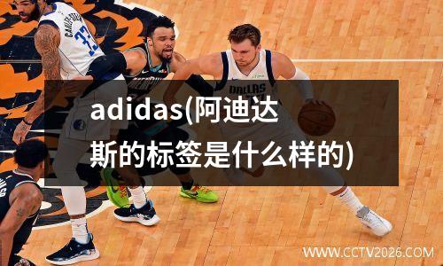 adidas(阿迪达斯的标签是什么样的)