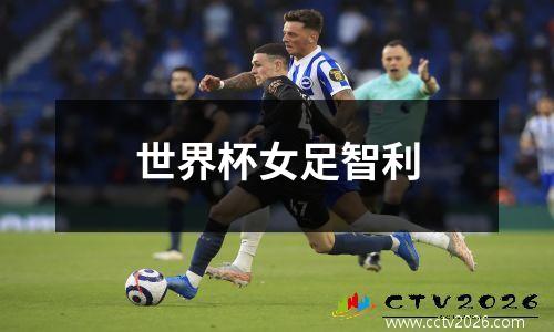 世界杯女足智利
