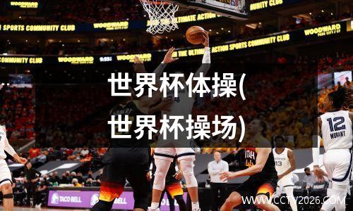 世界杯体操(世界杯操场)