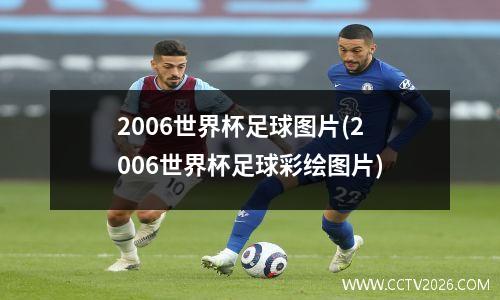 2006世界杯足球图片(2006世界杯足球彩绘图片)