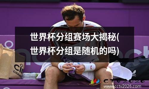 世界杯分组赛场大揭秘(世界杯分组是随机的吗)
