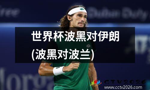 世界杯波黑对伊朗(波黑对波兰)