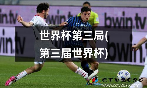 世界杯第三局(第三届世界杯)