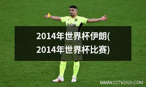 2014年世界杯伊朗(2014年世界杯比赛)