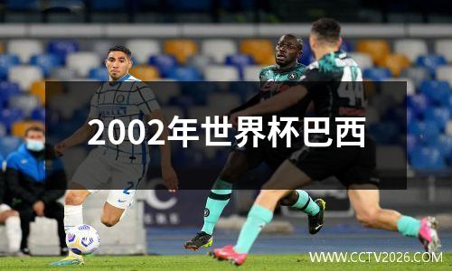 2002年世界杯巴西