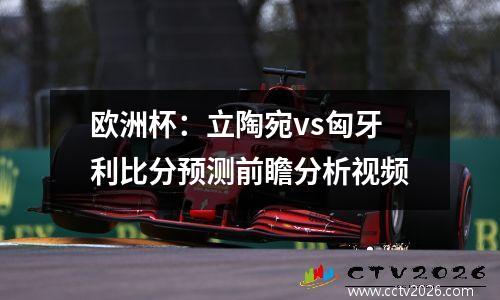 欧洲杯：立陶宛vs匈牙利比分预测前瞻分析视频