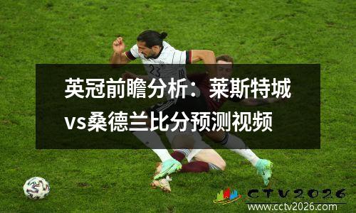 英冠前瞻分析：莱斯特城vs桑德兰比分预测视频