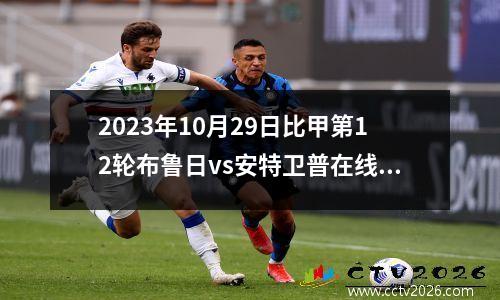 2023年10月29日比甲第12轮布鲁日vs安特卫普在线直播