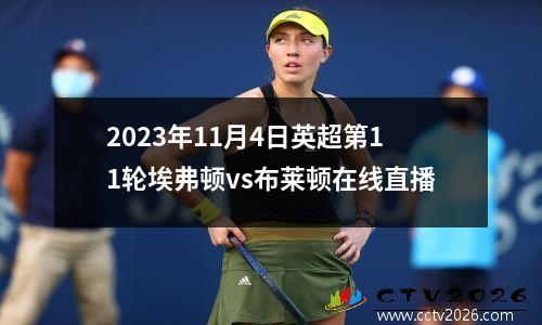 2023年11月4日英超第11轮埃弗顿vs布莱顿在线直播
