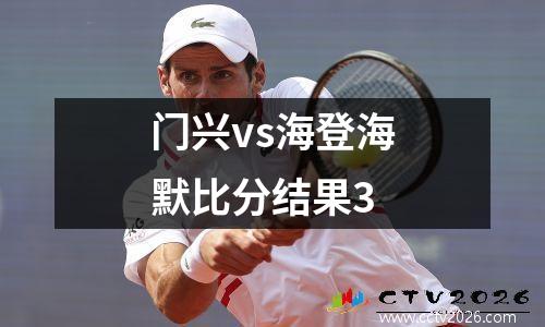 门兴vs海登海默比分结果3