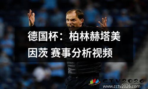 德国杯：柏林赫塔美因茨 赛事分析视频