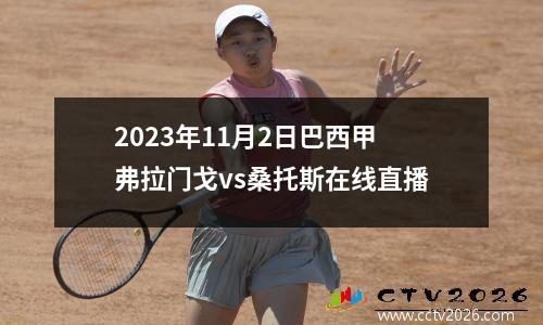 2023年11月2日巴西甲弗拉门戈vs桑托斯在线直播