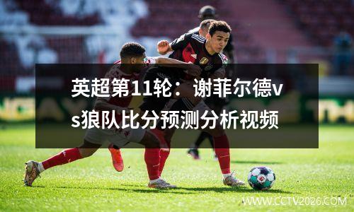 英超第11轮：谢菲尔德vs狼队比分预测分析视频