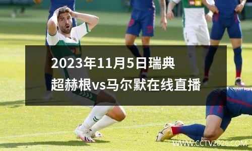 2023年11月5日瑞典超赫根vs马尔默在线直播