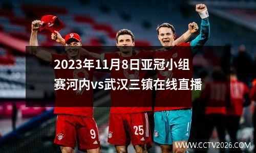 2023年11月8日亚冠小组赛河内vs武汉三镇在线直播