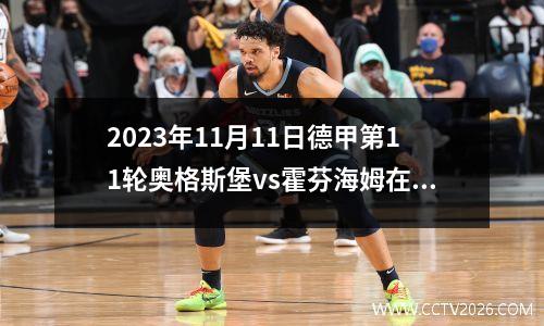 2023年11月11日德甲第11轮奥格斯堡vs霍芬海姆在线直播
