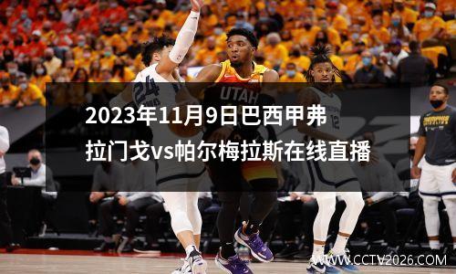 2023年11月9日巴西甲弗拉门戈vs帕尔梅拉斯在线直播