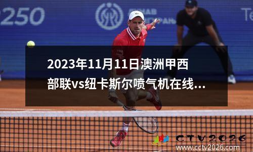 2023年11月11日澳洲甲西部联vs纽卡斯尔喷气机在线直播