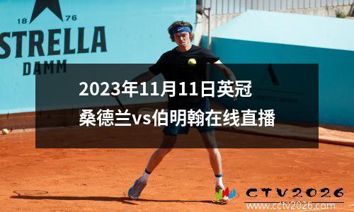 2023年11月11日英冠桑德兰vs伯明翰在线直播