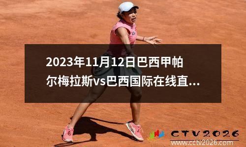2023年11月12日巴西甲帕尔梅拉斯vs巴西国际在线直播
