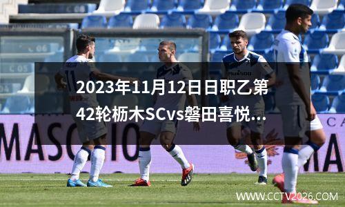 2023年11月12日日职乙第42轮枥木SCvs磐田喜悦在线直播