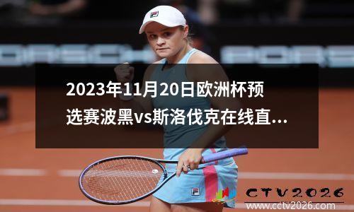 2023年11月20日欧洲杯预选赛波黑vs斯洛伐克在线直播